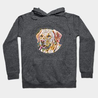 Golden Labrador Hoodie